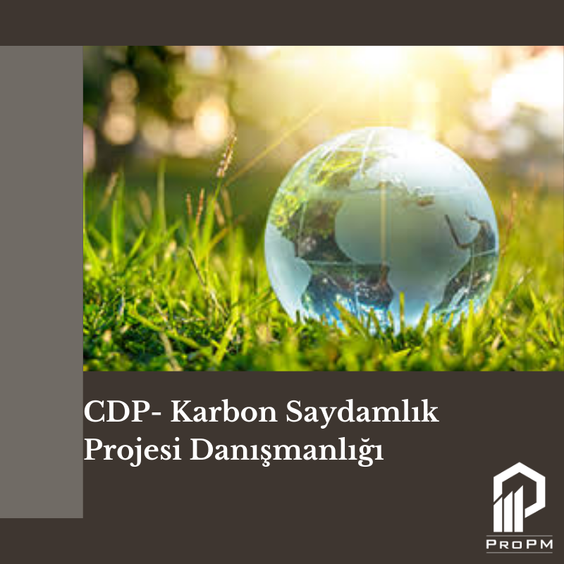 CDP- Karbon Saydamlık Projesi Danışmanlığı 1